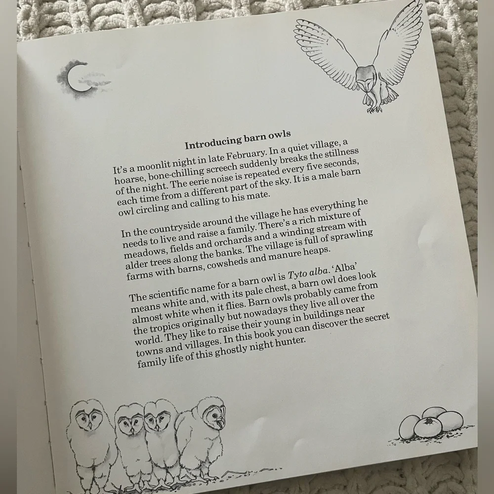 🦉”A Family of Owls” Vintage Children’s Picture Book with Color Photographs🦉 - Picture 11 of 15